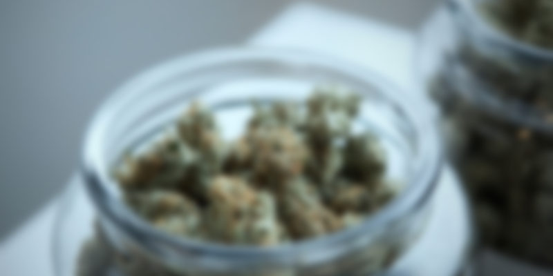 https://morcannabis.us/wp-content/uploads/2020/04/img_canimed_10-800x400.jpg